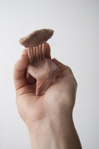 Illustration for article titled Doll House furniture made out of human skin